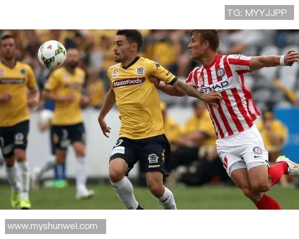 鹿儿岛联与町田泽维比赛大小球分析及预测对比